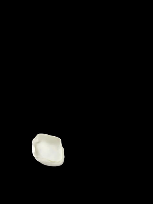 petalo